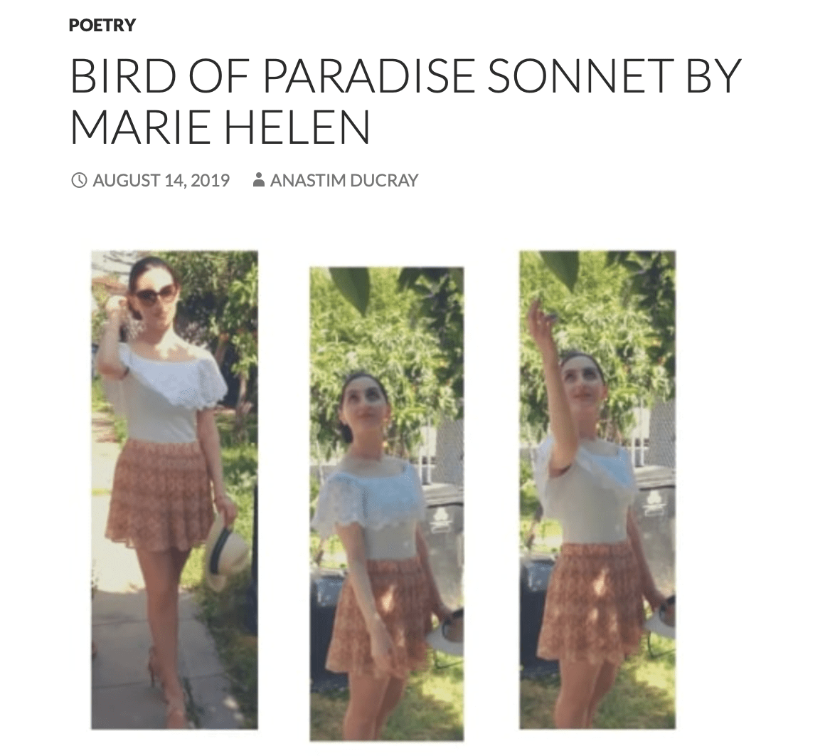 Screen-Shot-2019-09-28-at-2.39.51-PM